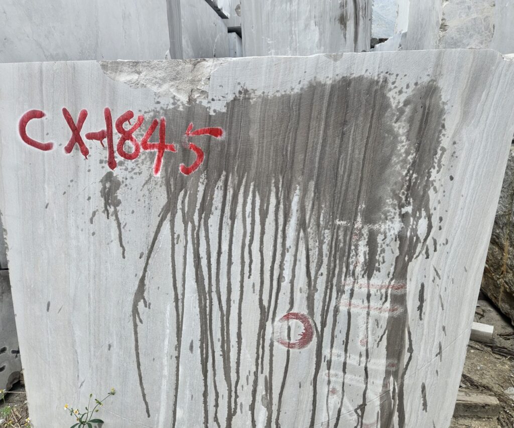 The same block as the photograph beside it, CX-1845, seen from nearer: the sawn face fills the frame, the straight parallel lines of the bed run down it, and the dark streaks of iron staining run with them.