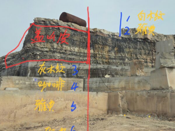 A quarry face with the beds marked up by hand in coloured paint. Reading from the top the marks say: 1 white vein, 2 elegant black, 3 grey wood grain, 4 coffee, 5 elegant black, 6 elegant black, 7 black and white, with the red outline around the overburden at the top of the face. Coffee Wood Marble is the fourth bed down.