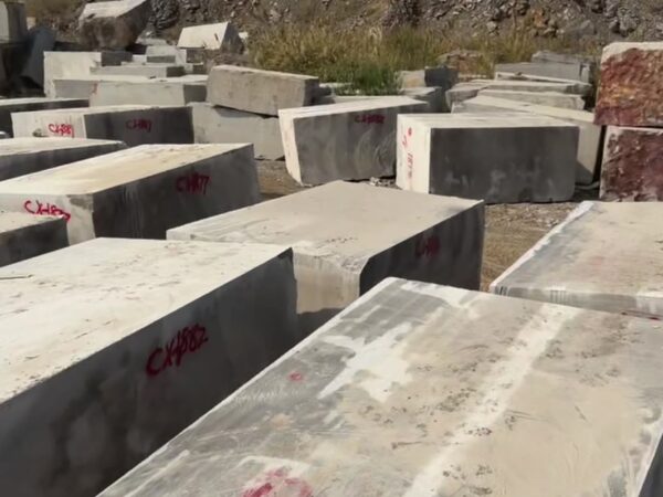 Sawn slabs set out in the yard