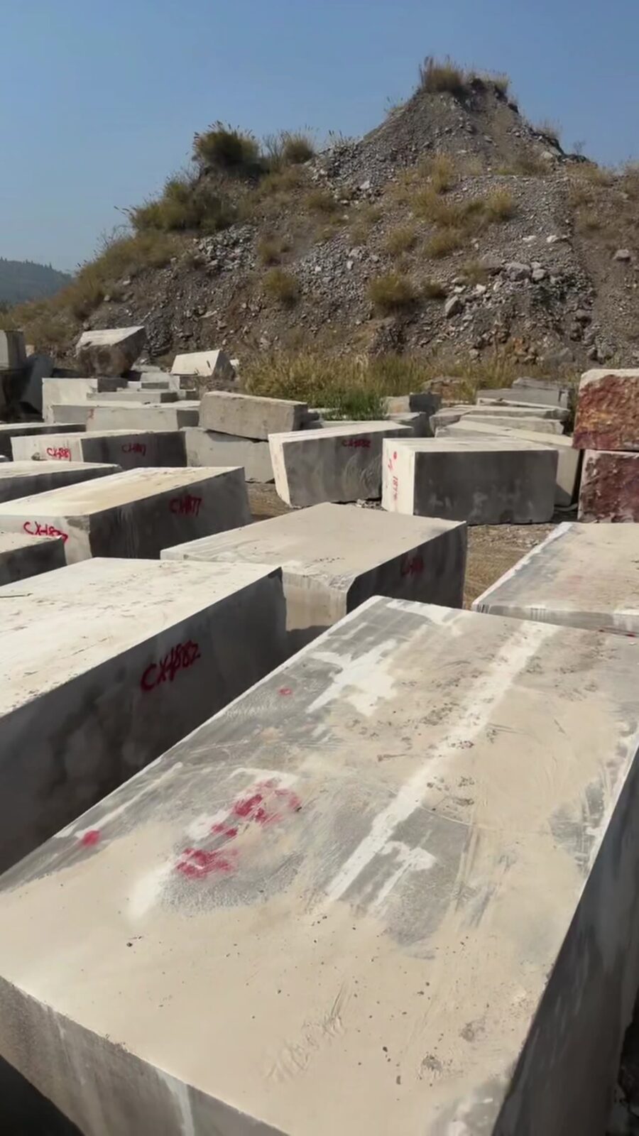 Sawn slabs set out in the yard